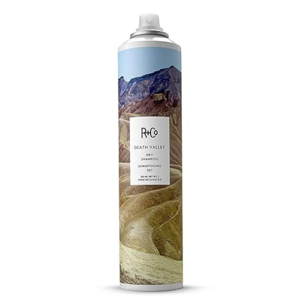 Dry Shampoo X47102