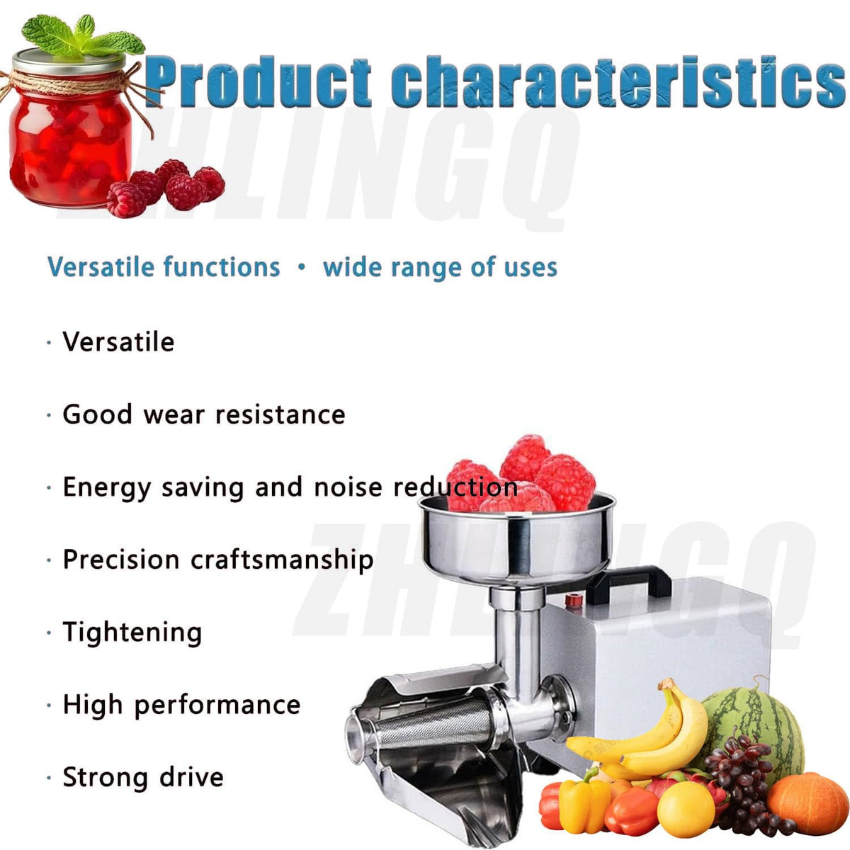 450W Stainless Steel Electric Tomato Strainer D71111