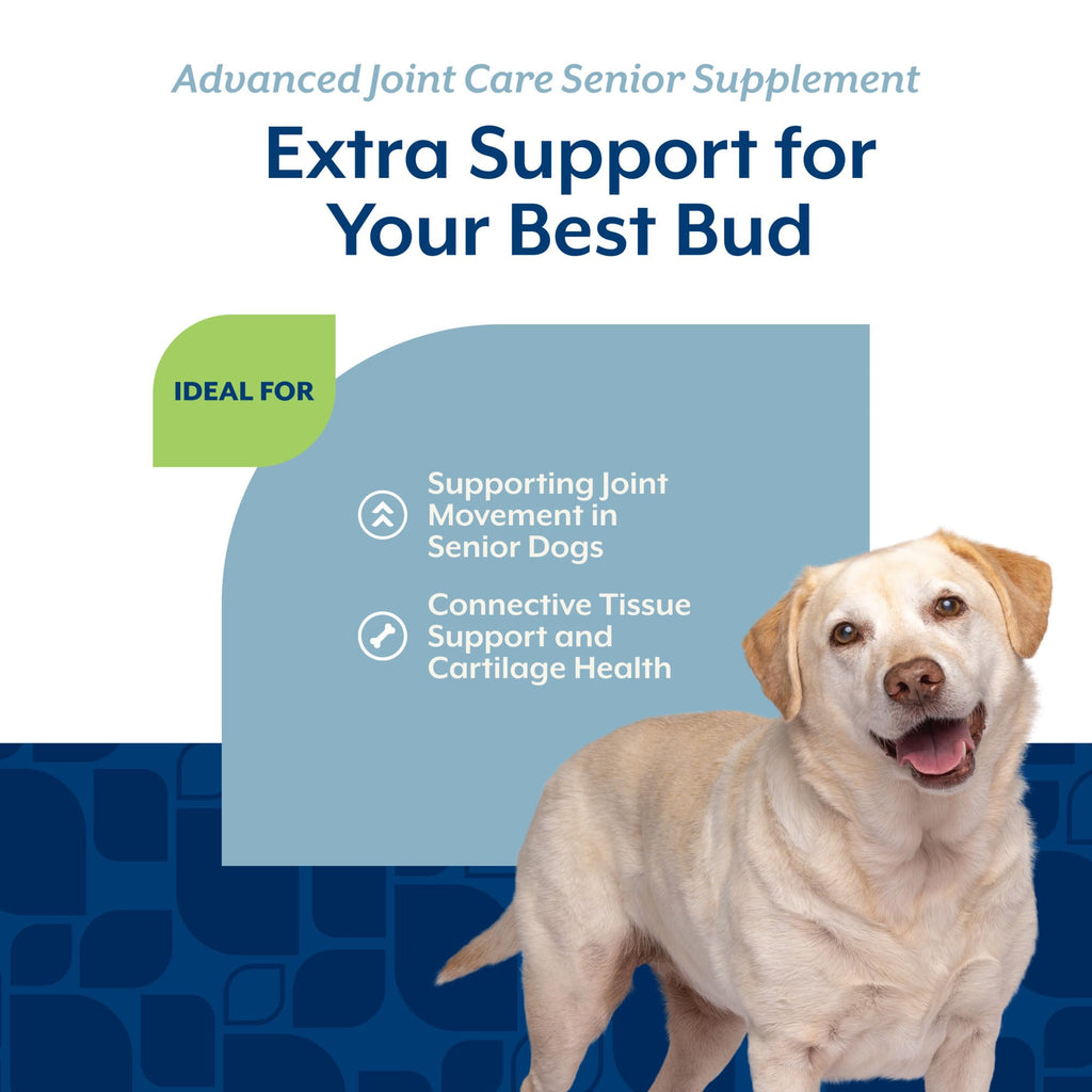 Senior Advanced Joint Health Dog Supplement 120 Ct N337622