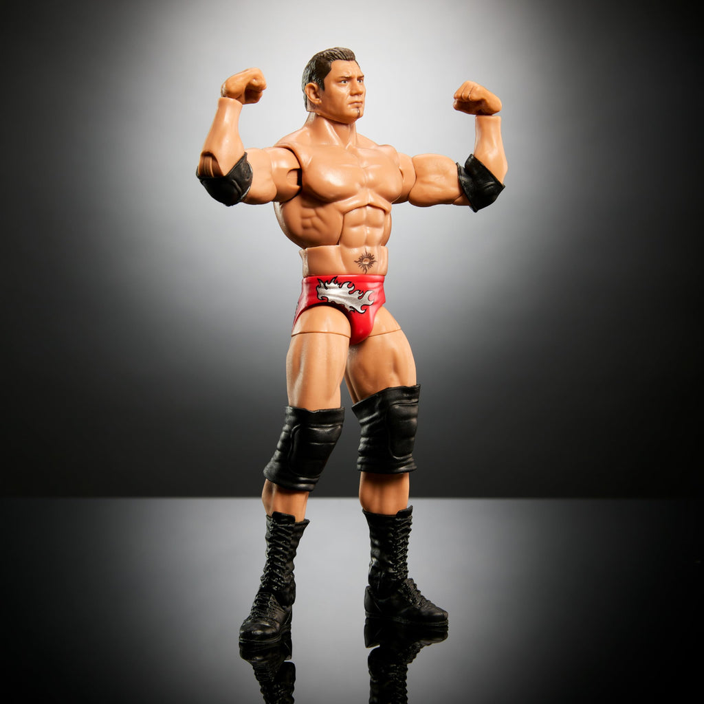 WWE Elite Collection Action Figure C98319