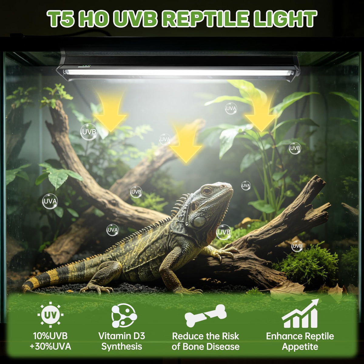 8W 10.0 UVA UVB Reptile Light Fixture D568
