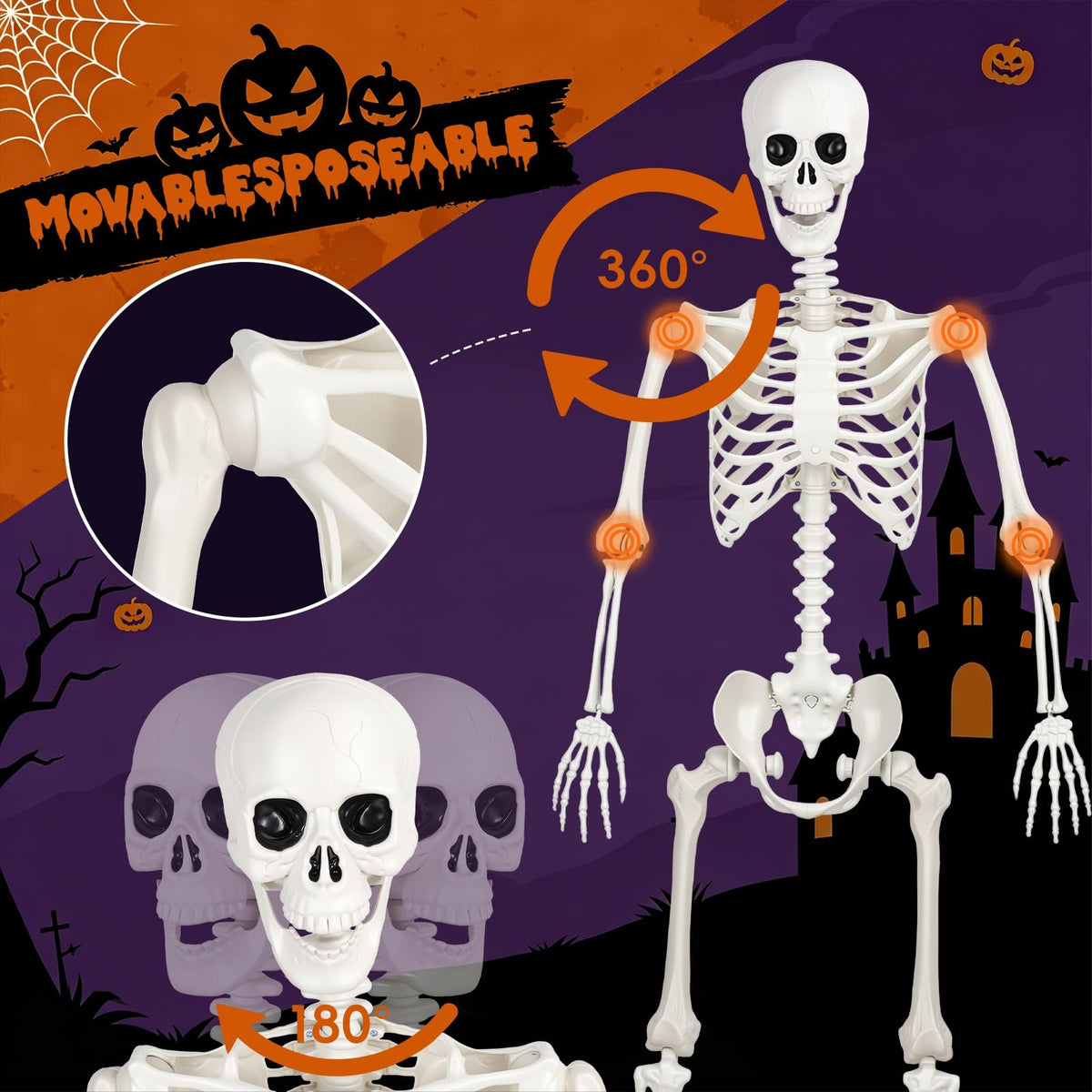 5.4FT Plastic Full Body Skeleton with Movable Joints Y560320