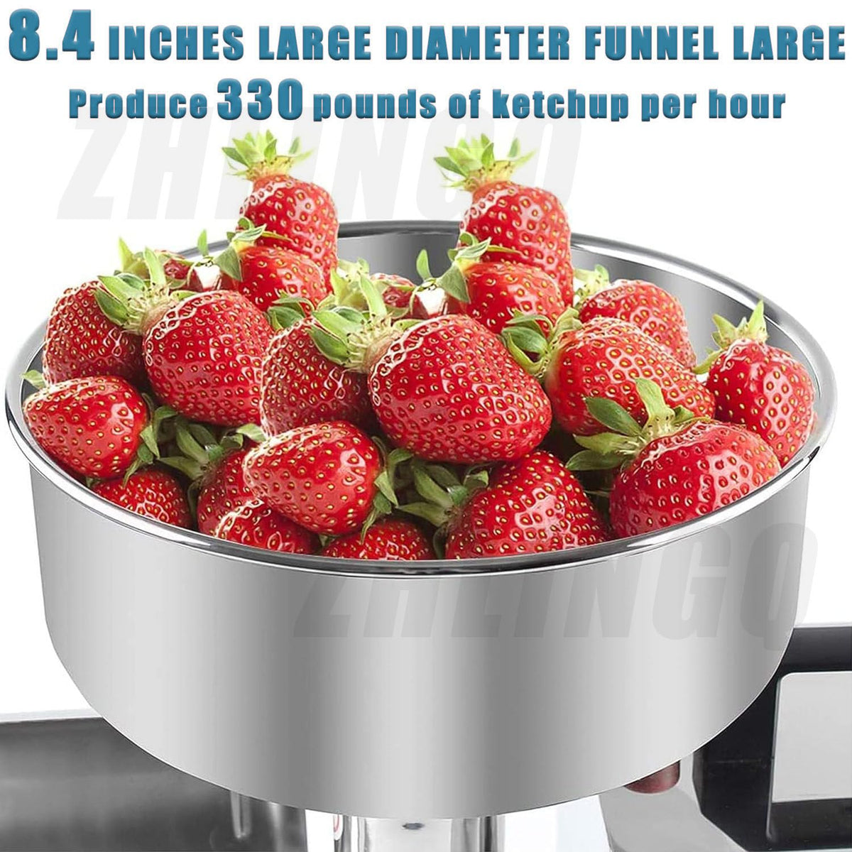 450W Stainless Steel Electric Tomato Strainer D71111