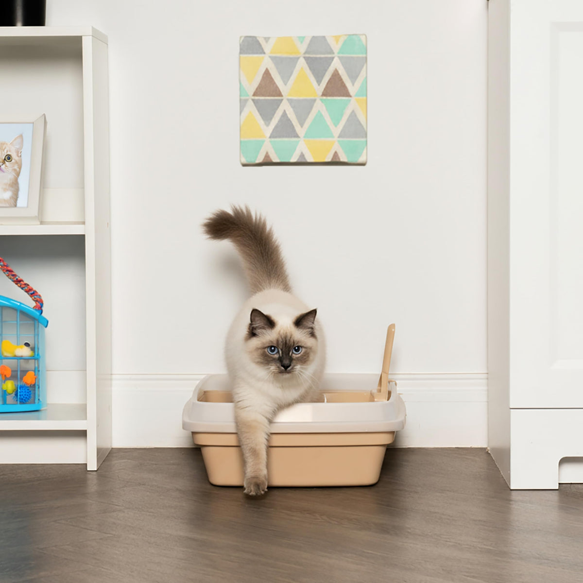 Large Cat Litter Box H399263