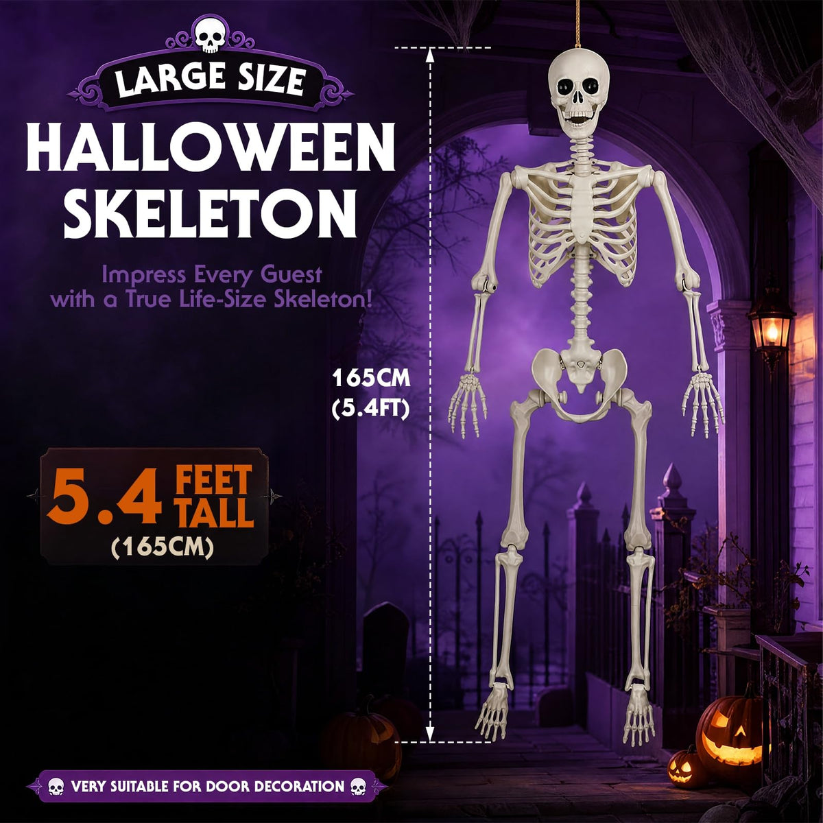5.4FT Plastic Full Body Skeleton with Movable Joints Y560320