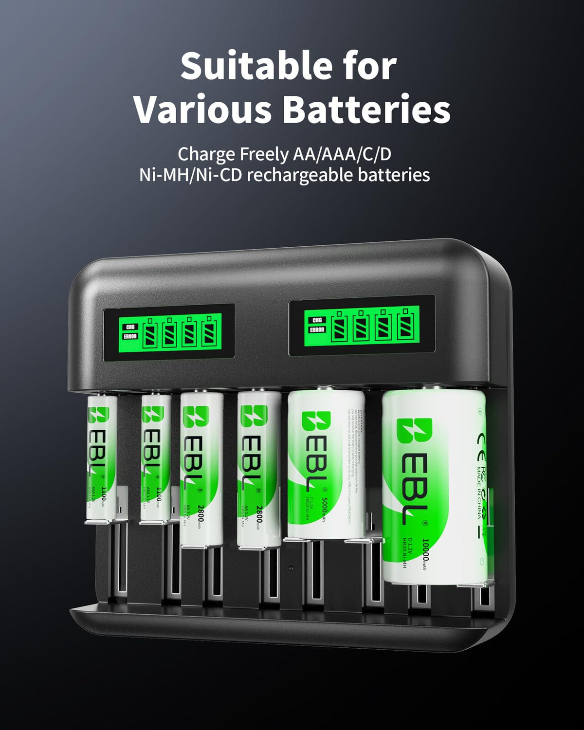 AA AAA C D Rechargeable Battery Charger with 8 PCS Batteries Y265764
