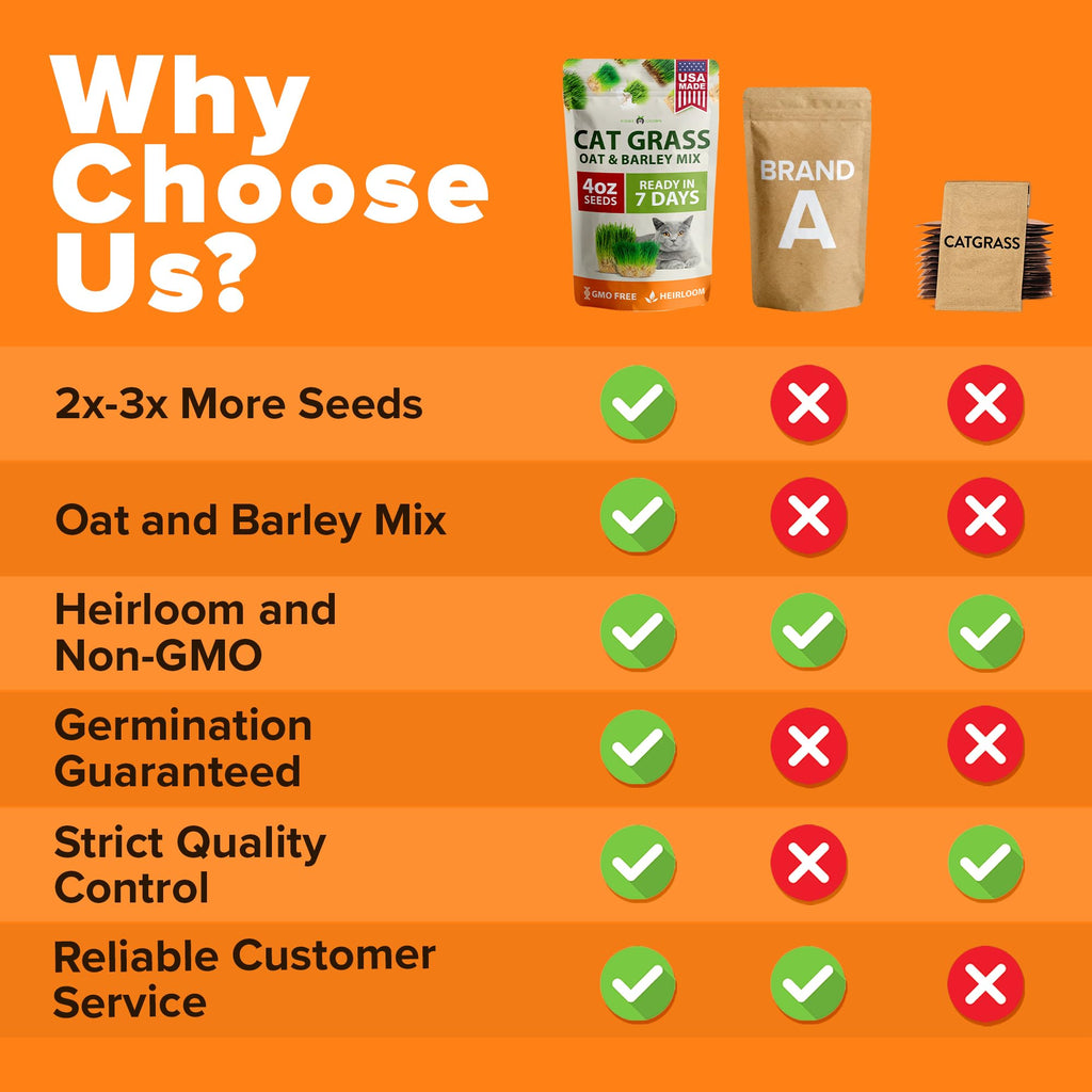 Cat Grass Seeds 4 oz Oat & Barley Mix G220