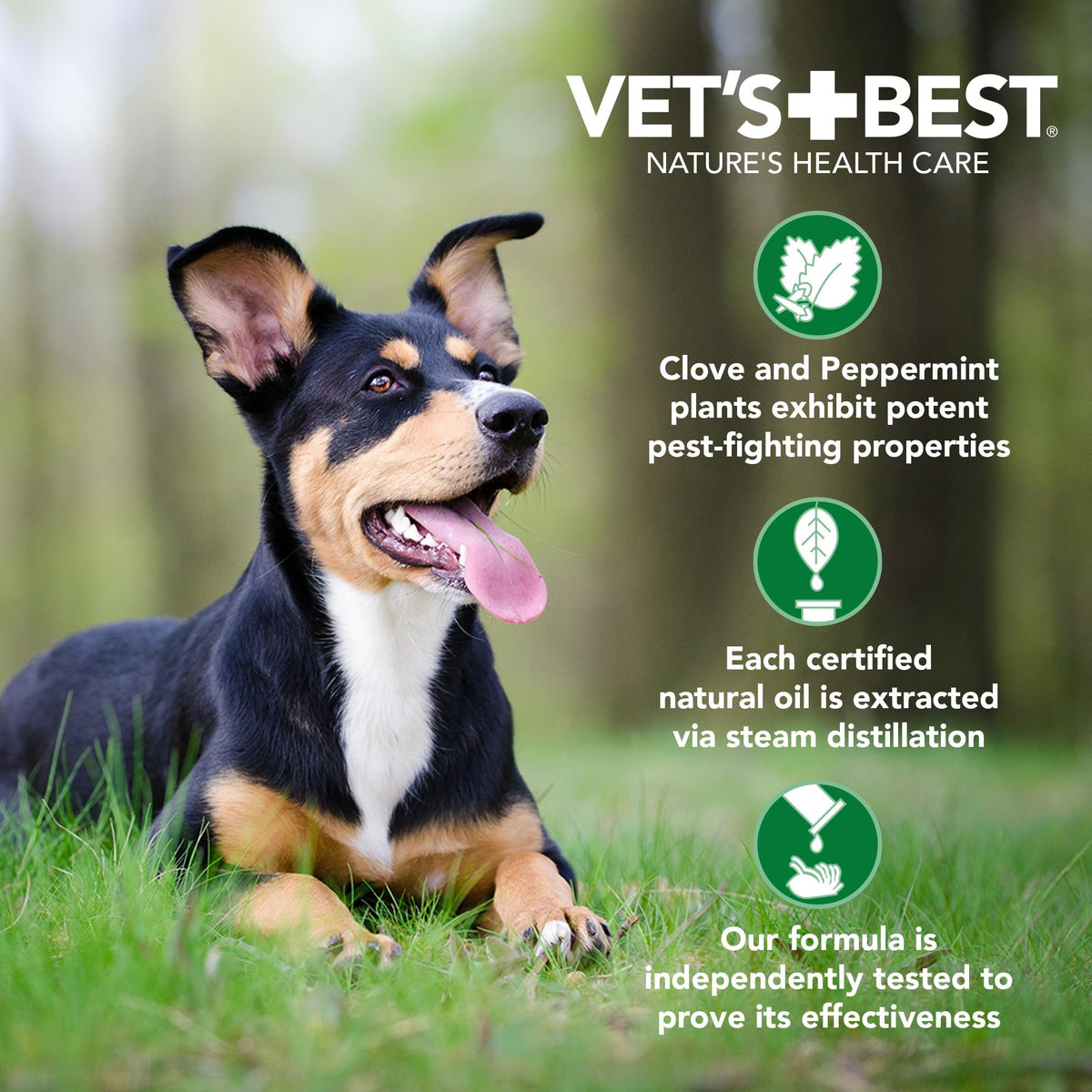 Flea & Tick Shampoo for Dogs 16 oz Y4952