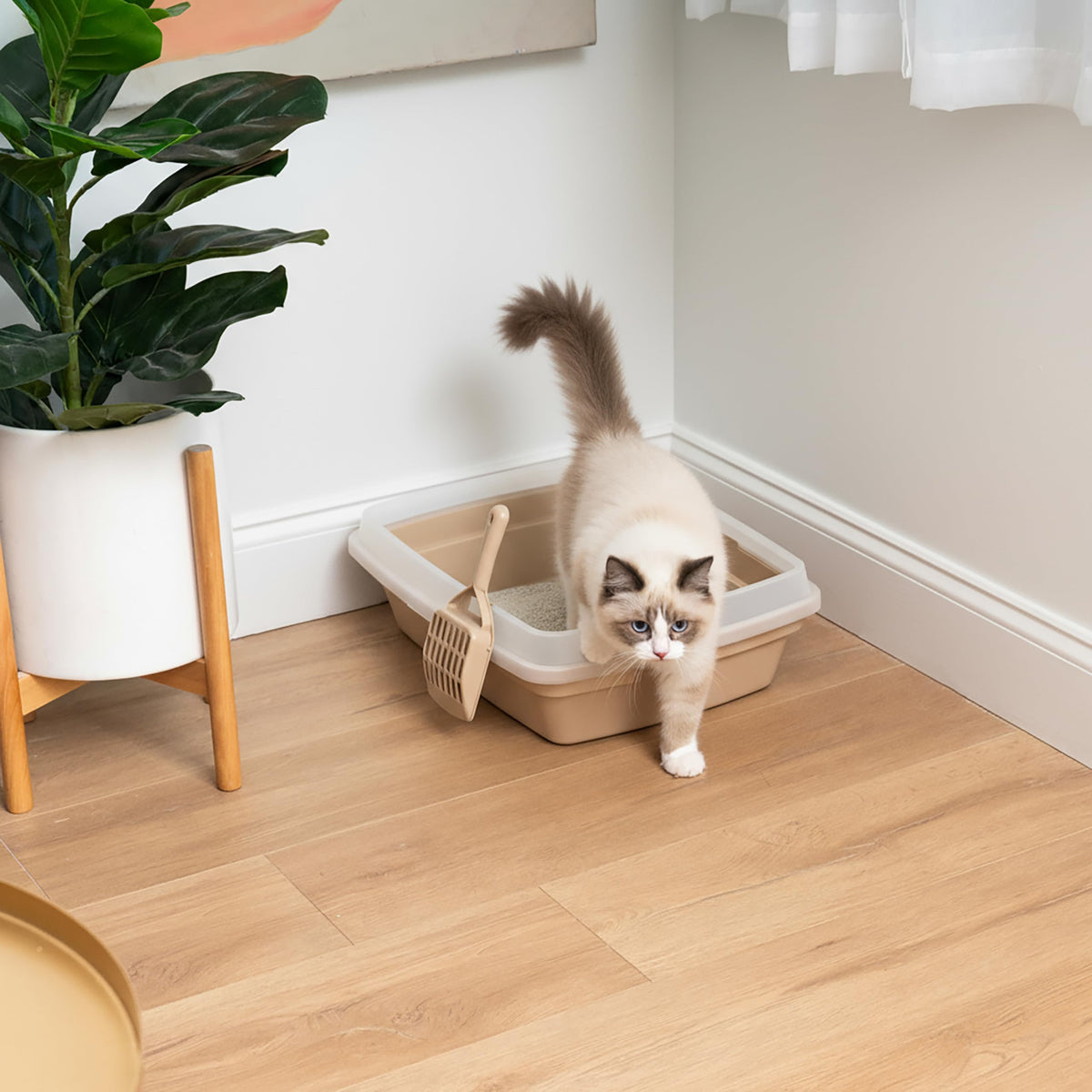 Large Cat Litter Box H399263