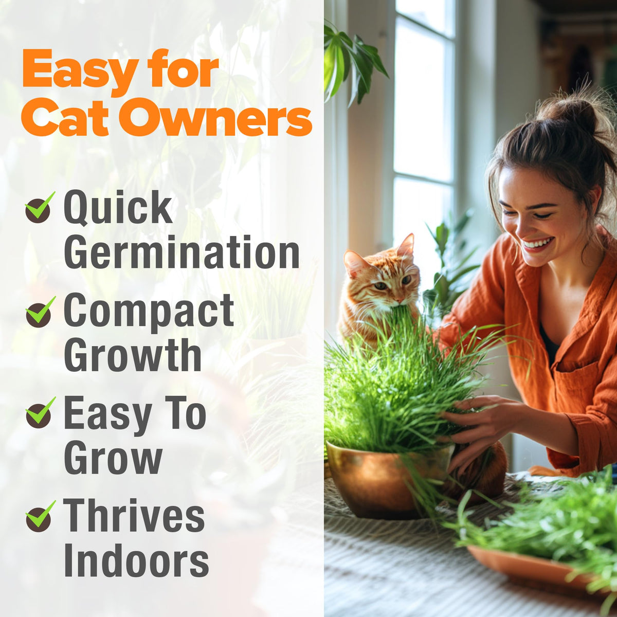 Cat Grass Seeds 4 oz Oat & Barley Mix G220