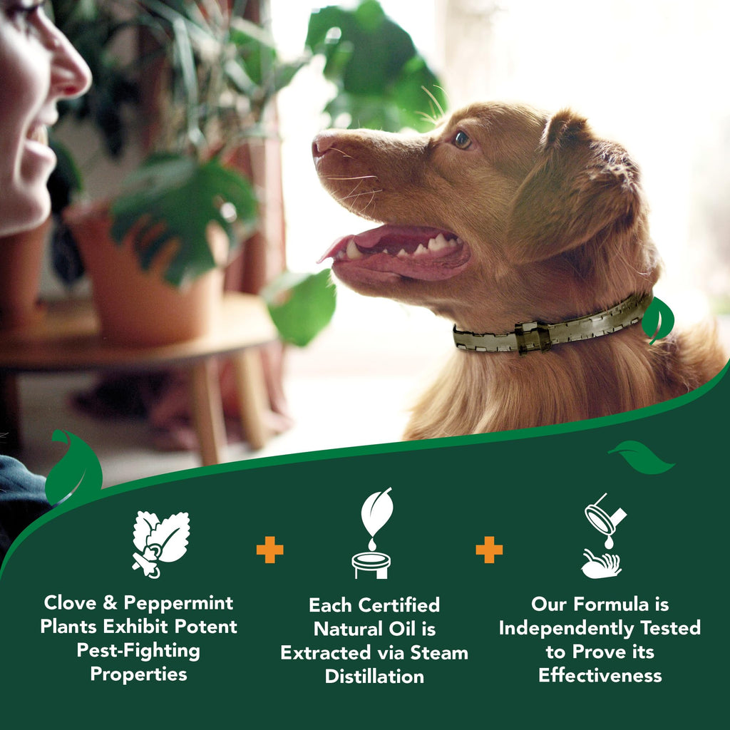 Plant-Based Flea & Tick Prevention Collar for Dogs B610655