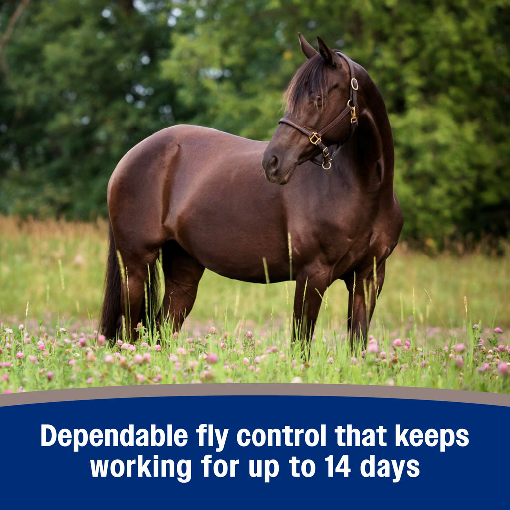 Fly Spray for Horses 128 oz V504