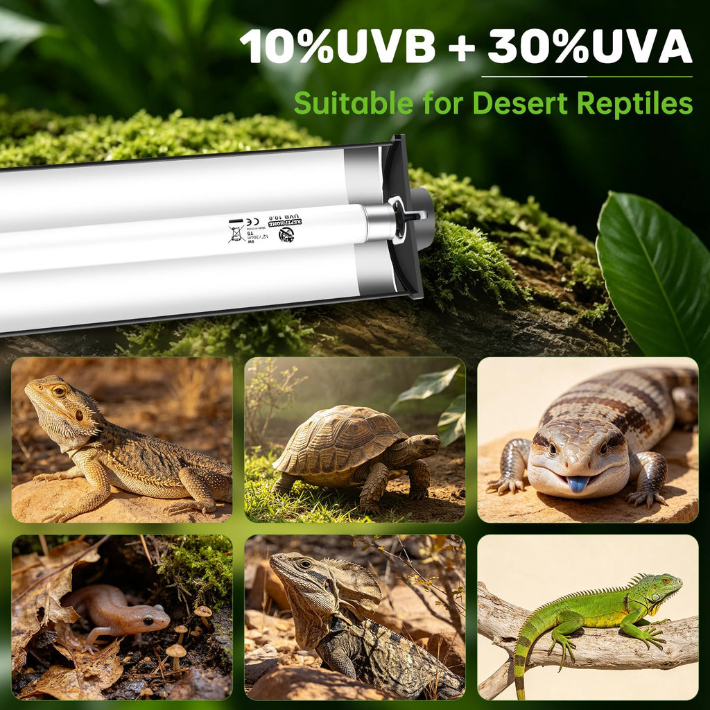 8W 10.0 UVA UVB Reptile Light Fixture D568