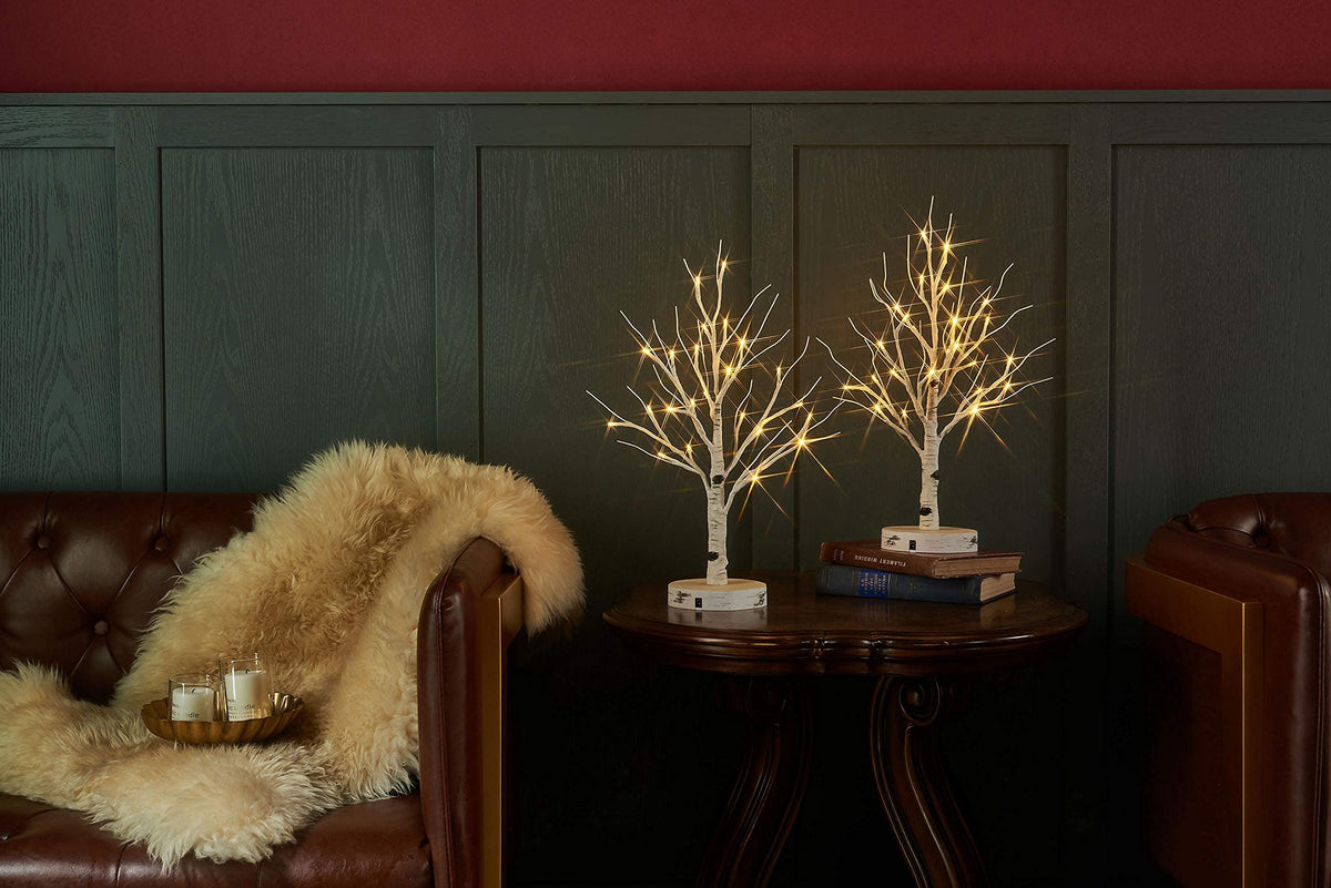 Lighted Birch Tree with Timer 18IN 24 LED P304238