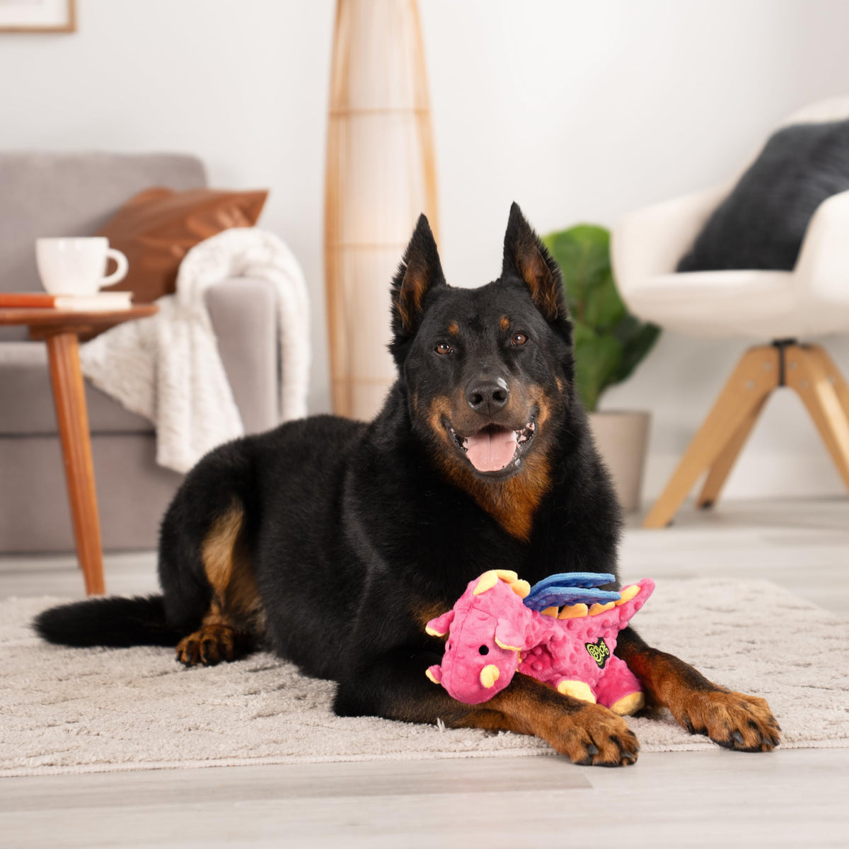 Plush Squeaky Dog Toy Large S52110