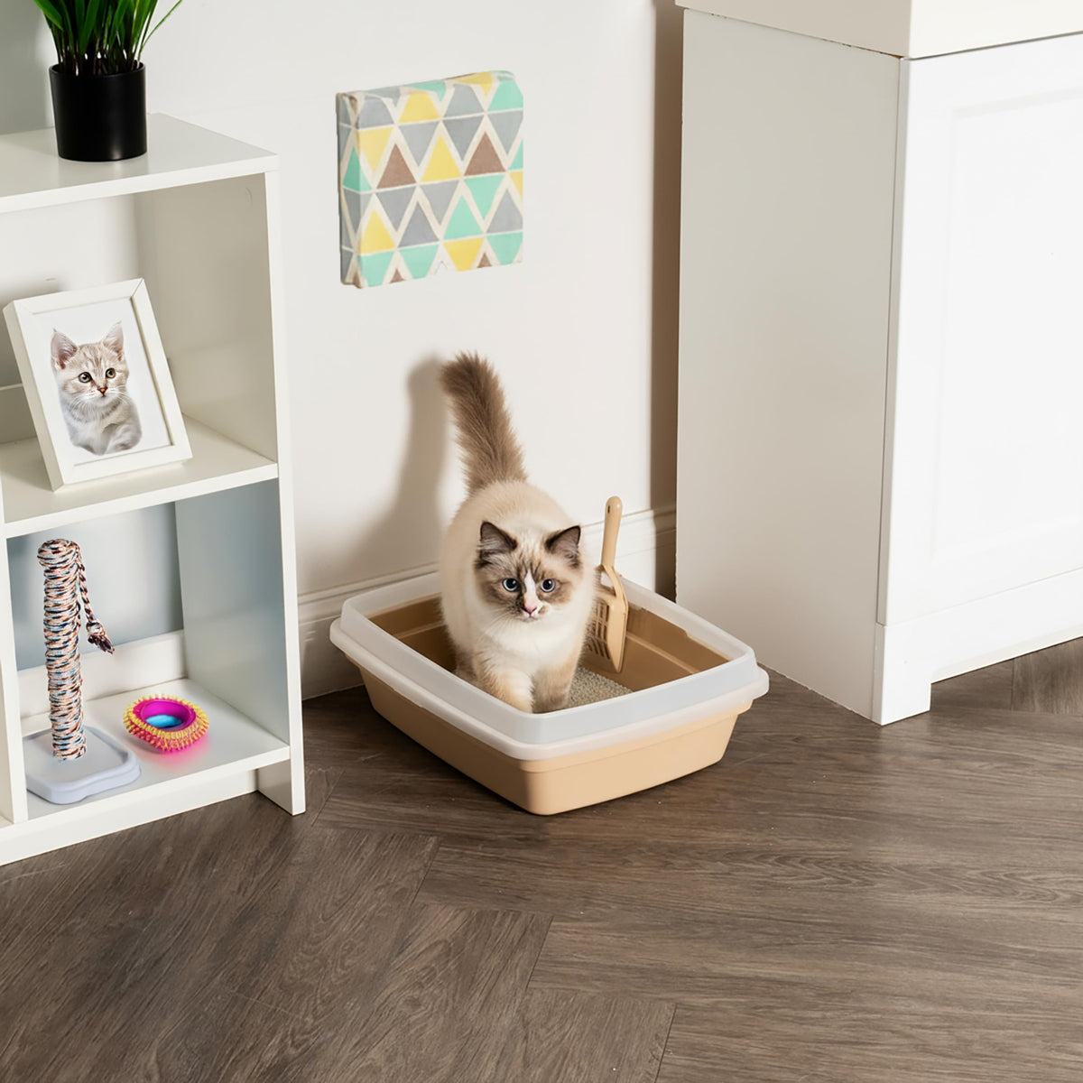 Large Cat Litter Box H399263