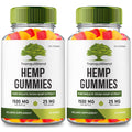 Hemp Gummies with Hemp Seeds Organic Extract 2 Pack U97028