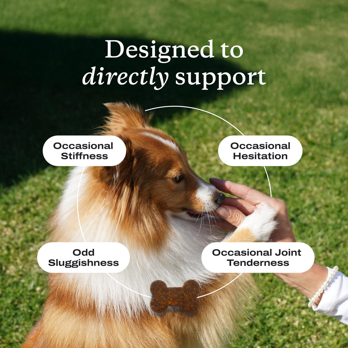 Joint Care Chews for Dogs, 30 Soft Chews, Pork V561749