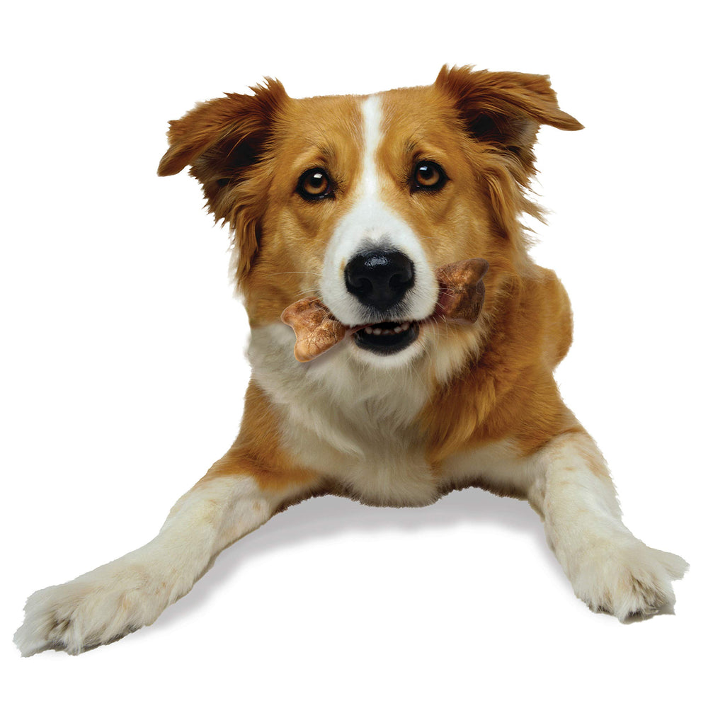 Bison Flavor Medium Dog Treats 2 Count Q736