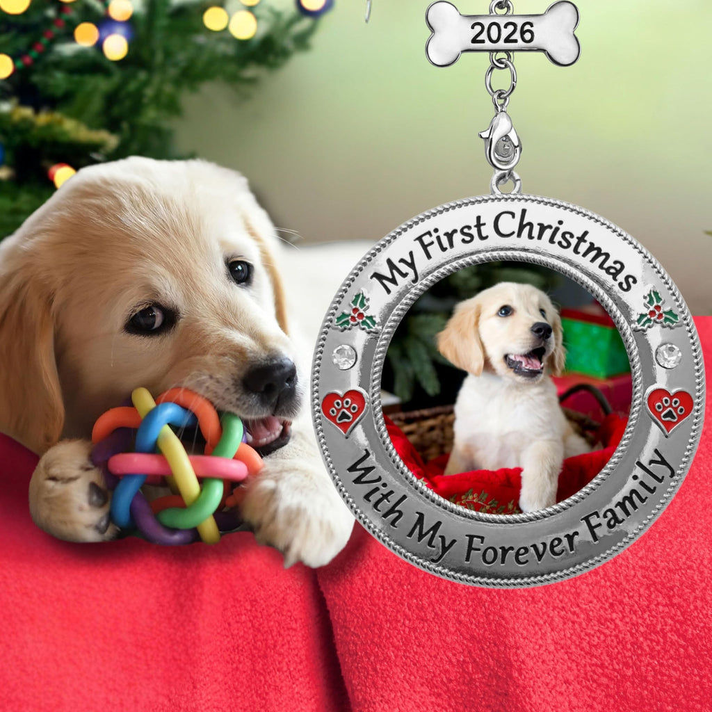 Dog Photo Ornament with Red Heart, 3 Inch S75647