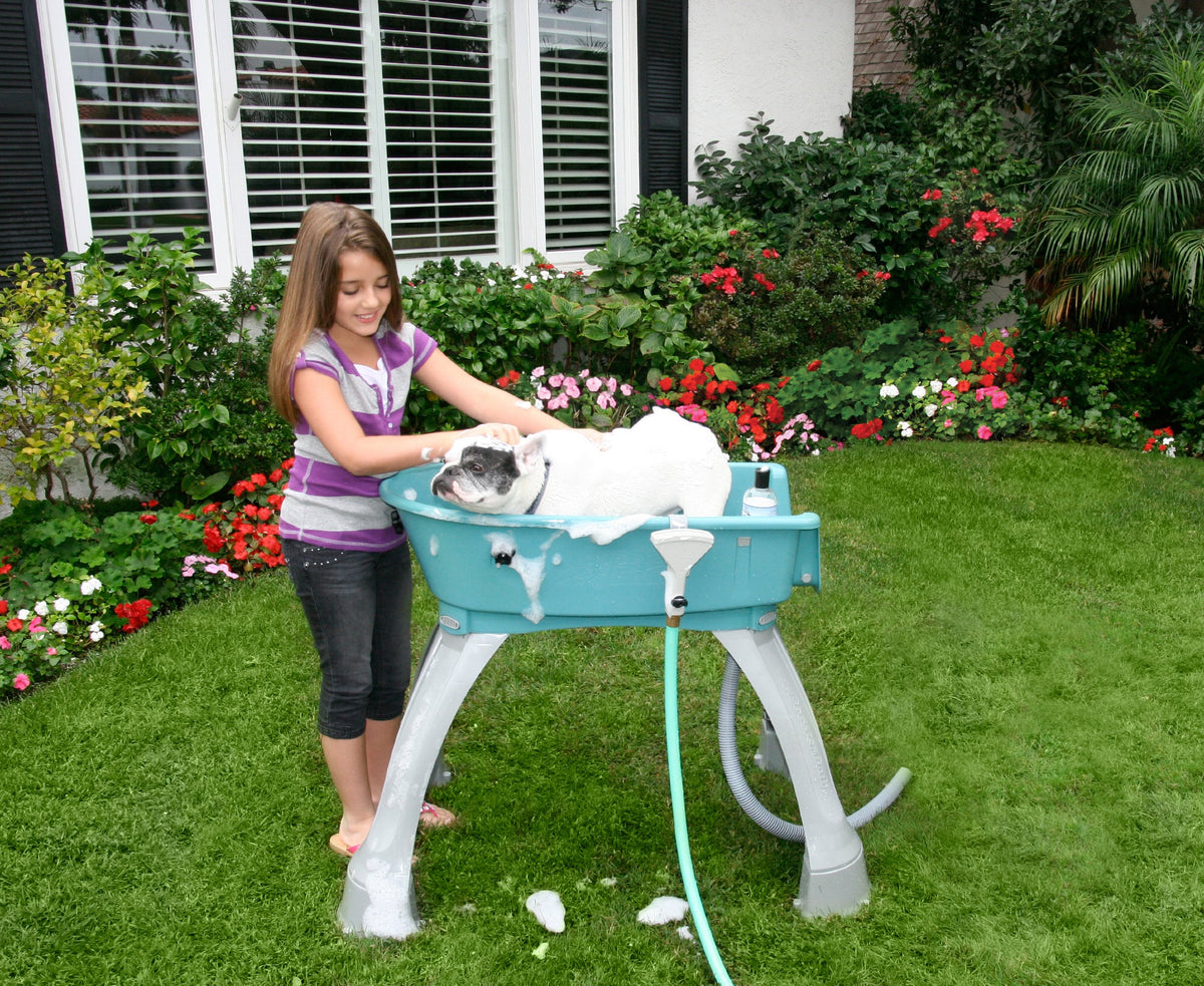 Elevated Pet Bathing C594